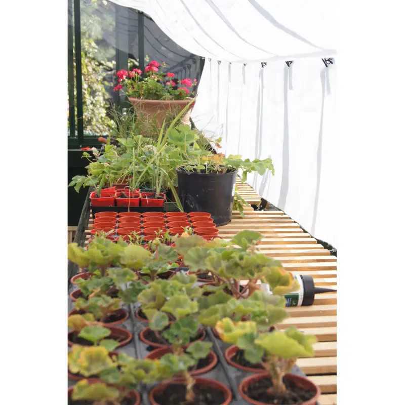 Serre à l'ancienne CHAMBORD largeur 2.80 m sur embase aluminium