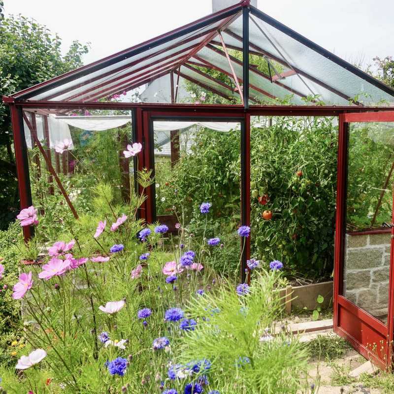 Serre LUXIA Sur Muret Largeur 3.09 m