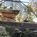 Invernadero LAURUS 8,10 m²