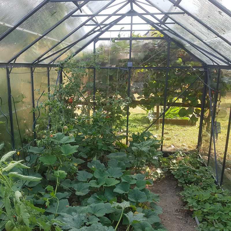 Invernadero LAURUS 11,30 m²