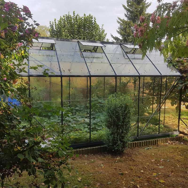 Invernadero LAURUS 11,30 m²