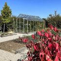 Invernadero LAURUS 12,90 m²