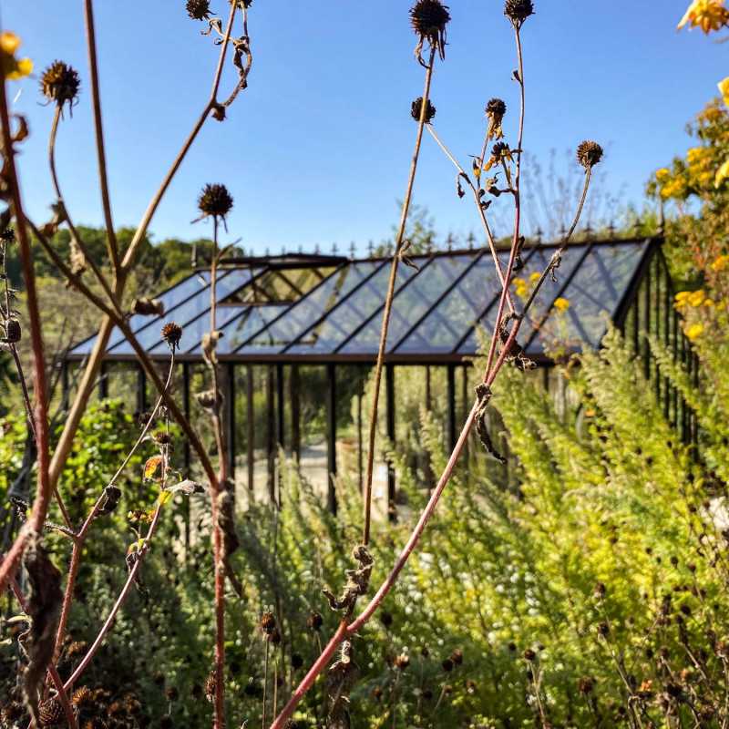 Invernadero LUXIA Retro anchura 3,09 m