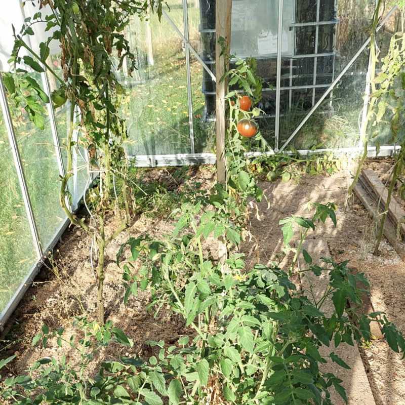 Invernadero LAURUS 14,40 m²