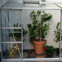 Invernadero adosado MÉLISSA 3,30 m²