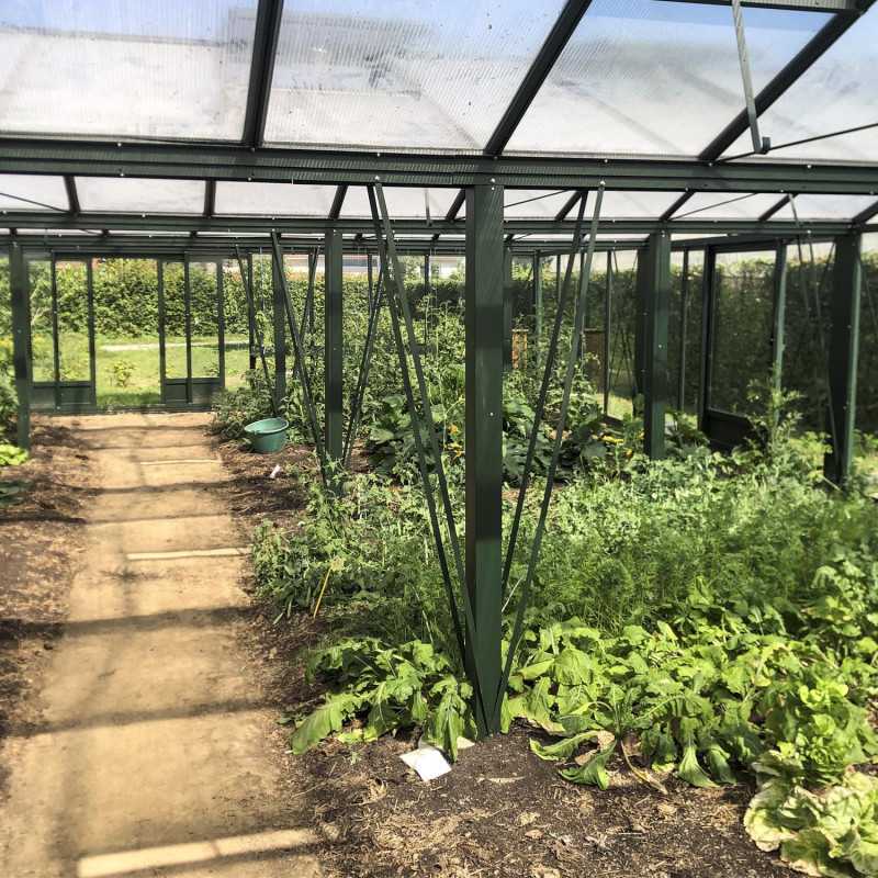 Invernadero SUPRA 3 chapelles