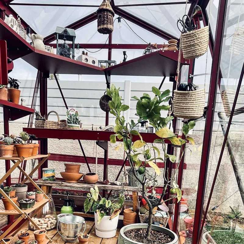 Invernadero LUXIA anchura 1,60 m