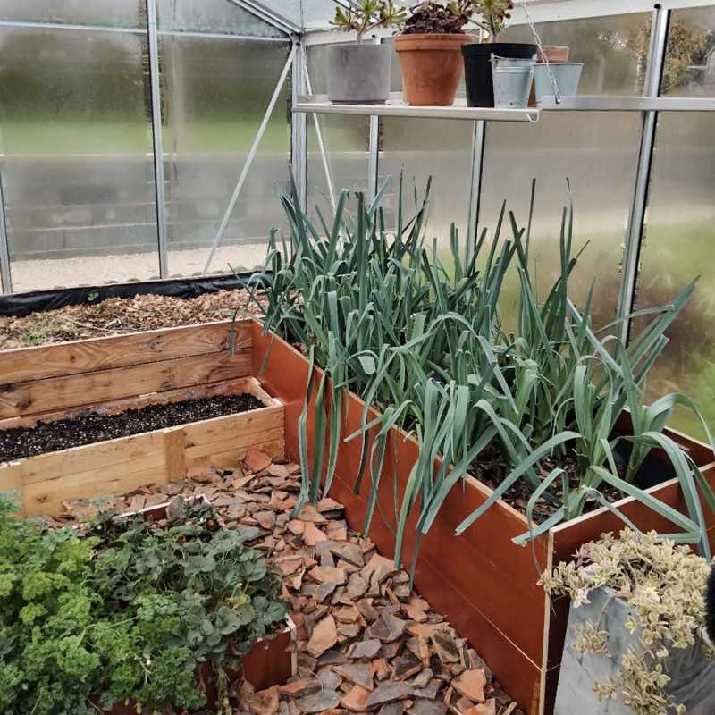 Invernadero ESSENTIA anchura 3,09 m