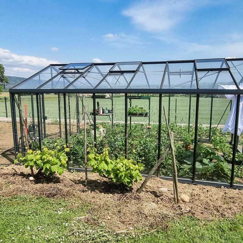 Invernadero SUPRA anchura 3,80 m