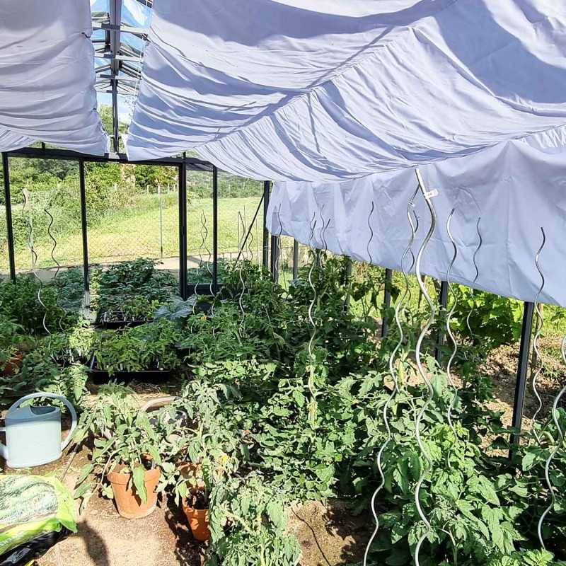 Invernadero SUPRA anchura 3,80 m