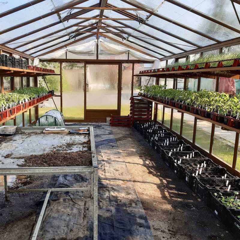 Invernadero SUPRA anchura 3,80 m