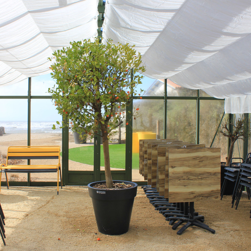 Invernadero SUPRA anchura 6,04 m