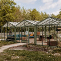 Invernadero SUPRA 3 chapelles