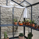 Invernadero LUXIA anchura 2,36 m