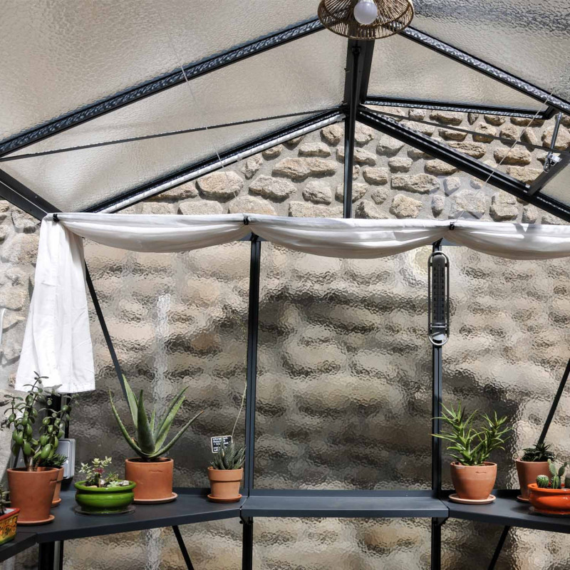 Invernadero LUXIA anchura 2,36 m