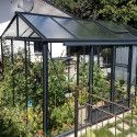 Invernadero LUXIA anchura 2,36 m