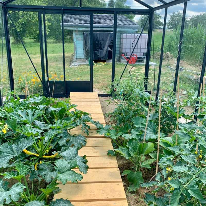 Invernadero LUXIA anchura 3,09 m