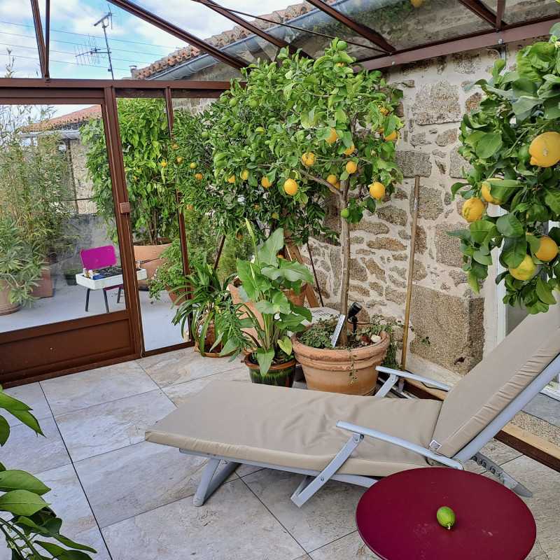 Invernadero LUXIA anchura 3,09 m